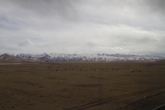 2013.12.12_13_Lhasa_-_Xi_an__14_von_33_