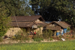 2014.01.20_Chitwan_National_Park__1___11_von_25_