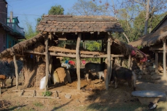 2014.01.20_Chitwan_National_Park__1___4_von_25_