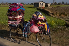 2014.01.20_Chitwan_National_Park__1___8_von_25_