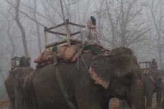 2014.01.20_Chitwan_National_Park__2___10_von_93_