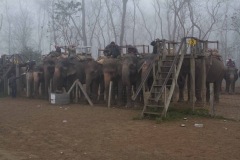 2014.01.20_Chitwan_National_Park__2___1_von_93_