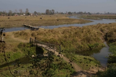 2014.01.20_Chitwan_National_Park__2___50_von_93_