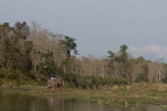 2014.01.20_Chitwan_National_Park__2___57_von_93_