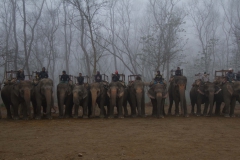 2014.01.20_Chitwan_National_Park__2___6_von_93_
