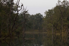 2014.01.20_Chitwan_National_Park__2___82_von_93_